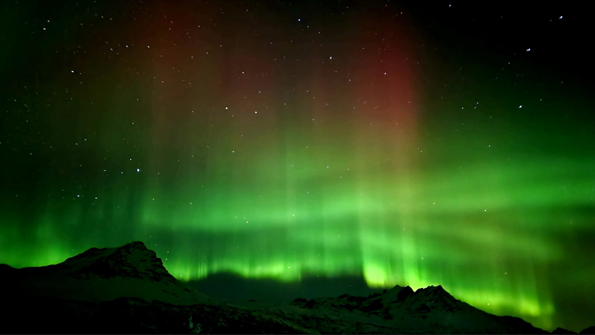 Northern Lights Safari (Gratangen)